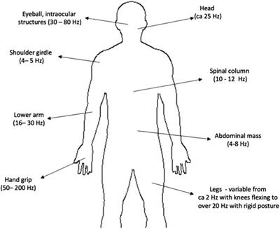 First insights in perception of feet and lower-body stimuli for proximity and collision feedback in 3D user interfaces